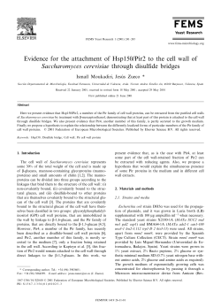 Evidence for the attachment of Hsp150/Pir2 to the cell wall of