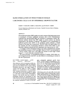 rapid stimulation of pinocytosis in human carcinoma cells a