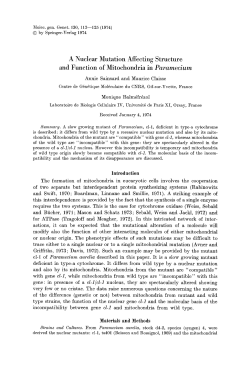 A nuclear mutation affecting structure and function of