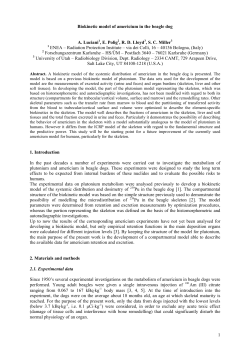 1 Biokinetic model of americium in the beagle dog A