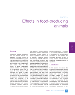 Effects in food-producing animals