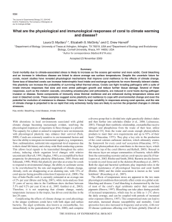 What are the physiological and immunological responses of coral to