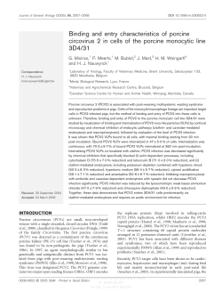 Binding and entry characteristics of porcine circovirus 2 in cells of