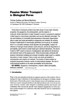 Passive Water Transport in Biological Pores