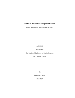 Source of the Sacred: Navajo Corn Pollen