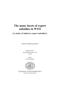 The many facets of export subsidies in WTO