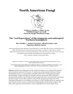 The "red Hypoxylons" - North American Fungi