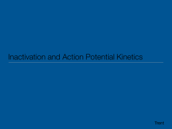 Inactivation and Action Potential Kinetics