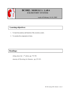 bc1002: module 1: lab 4 excretory system