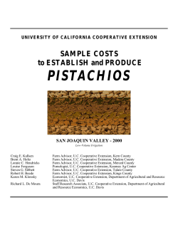 SAMPLE COSTS to ESTABLISH and PRODUCE PISTACHIOS
