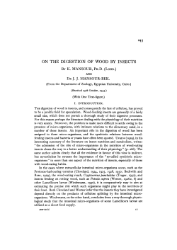 on the digestion of wood by insects