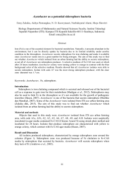 Azotobacter as a potential siderophore bacteria