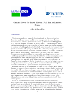 Ground Cover for South Florida: Full Sun to Limited Shade