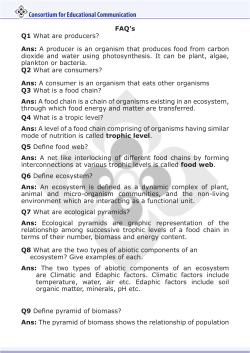 Ans