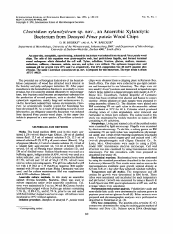 Bacterium from Decayed Pinus patula Wood Chips