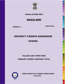 nagaland - Census of India