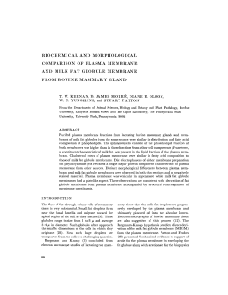 biochemical and morphological comparison of plasma membrane