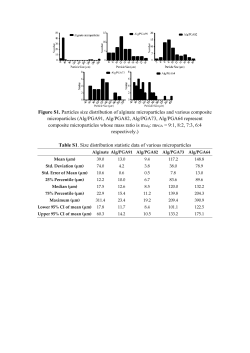 PDF-Document