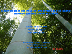 Morphological and Physical Properties of Five Exotic