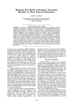(Coleoptera: Scolytidae) Mortality in Three Types of Infestations