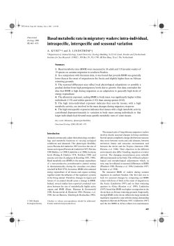 Basal metabolic rate in migratory waders: intra