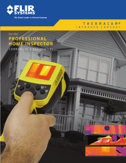 PROFESSIONAL HOME INSPECTOR