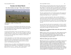 County Line Game Ranch See those bushes moving? Those aren`t