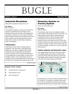 Industrial Revolution Domestic System vs. Factory System