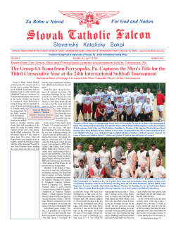 Slovensk&yen; Katol&iacute;cky Sokol The Group 6A Team from Perryopolis, Pa