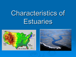 Characteristics of Estuaries