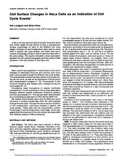 Cell Surface Changes in HeLa Cells as an Indication of Cell Cycle