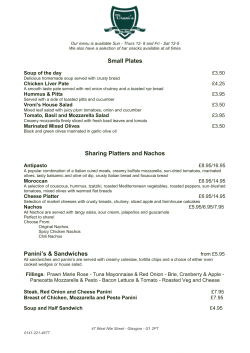 Small Plates Sharing Platters and Nachos Panini`s