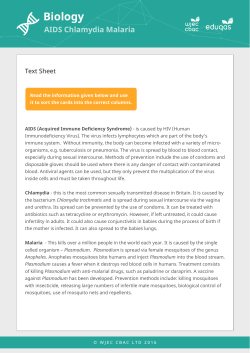 2. Aids, chlamydia, malaria