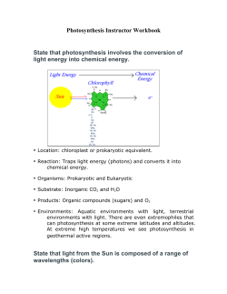 Photosynthesis Instructor Notebook 2012 - NatronaBiology-IB2