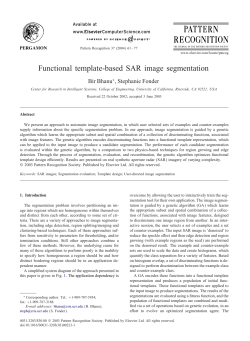 Functional template-based SAR image