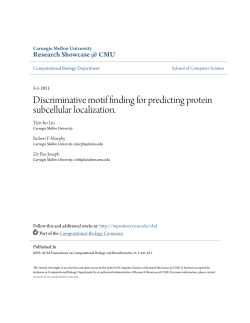 Discriminative motif finding for predicting protein subcellular