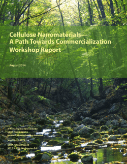 Cellulose Nanomaterials&mdash; A Path Towards Commercialization