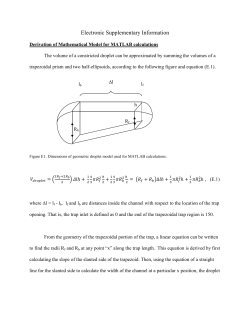 Electronic Supplementary Information