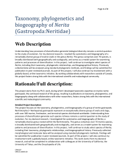 Taxonomy, phylogenetics and biogeography of Nerita