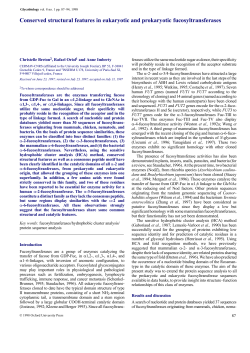 Conserved structural features in eukaryotic and prokaryotic