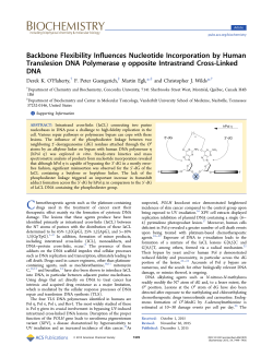 Backbone Flexibility Influences Nucleotide