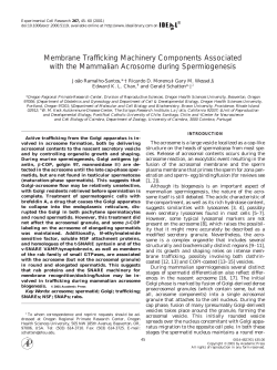 Membrane Trafficking Machinery Components