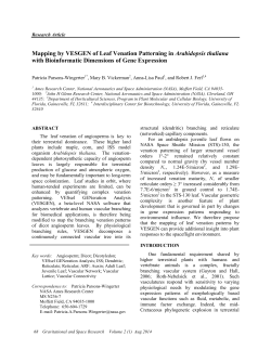 Mapping by VESGEN of Leaf Venation Patterning in Arabidopsis