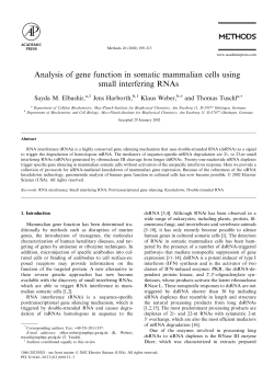 Analysis of gene function in somatic mammalian cells using small