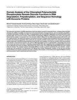 Domain Analysis of the Chloroplast Polynucleotide Phosphorylase