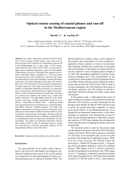 Optical remote sensing of coastal plumes and run