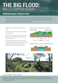 Artifical levees