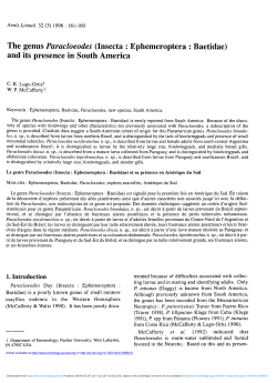 The genus Paracloeodes - Cambridge University Press