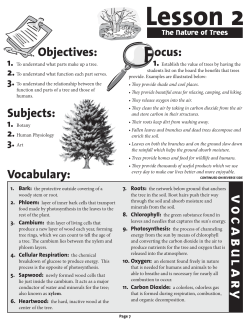 Lesson 2 - Talk About Trees