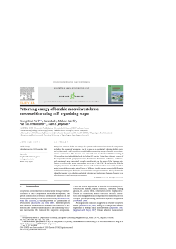 Patterning exergy of benthic macroinvertebrate